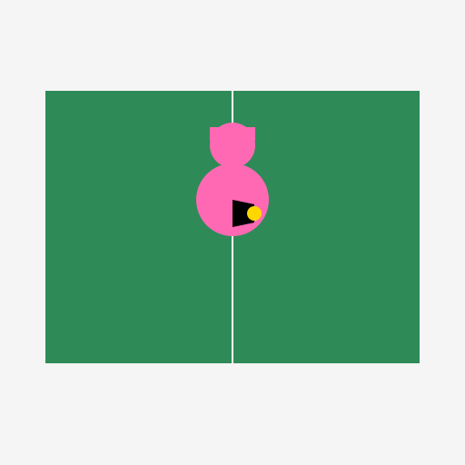 Hot Tennis Girl - DrawGPT