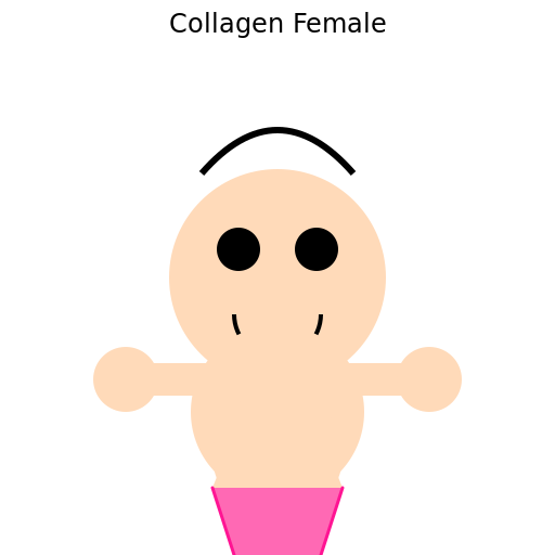 Collagen Female - DrawGPT