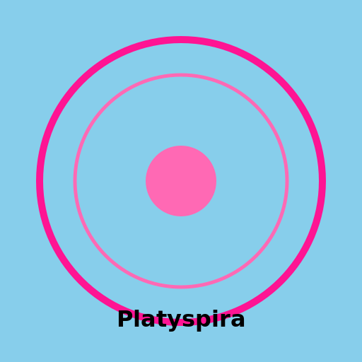 Platyspira - DrawGPT