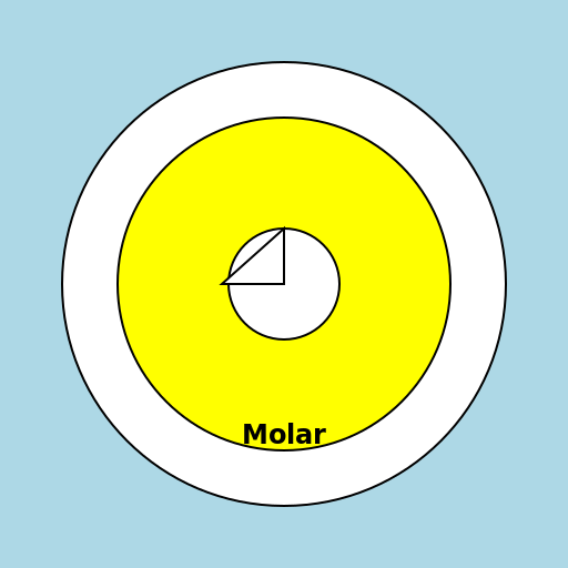 A Molar Inside a Sphere - DrawGPT