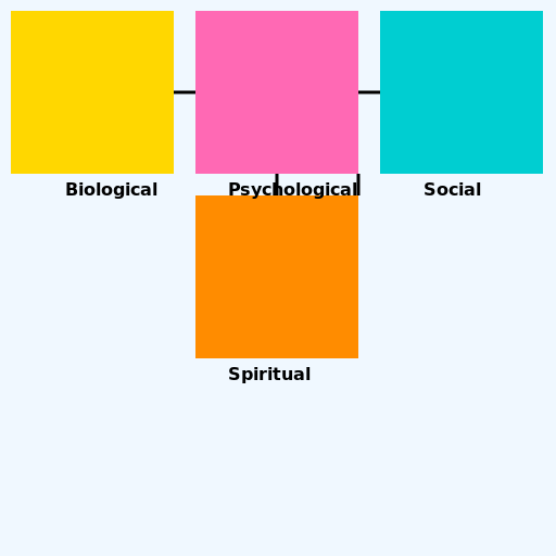 Biopsycosocial-Spiritual Model - DrawGPT