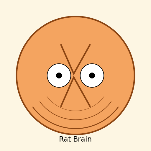 Rat Brain - DrawGPT