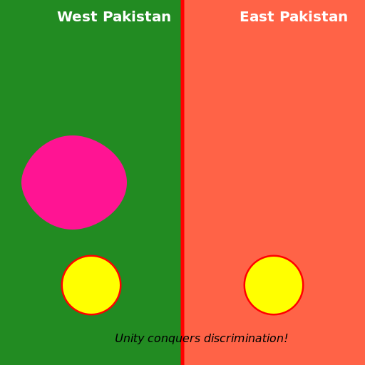 Discrimination on East Pakistan People by West Pakistan - DrawGPT