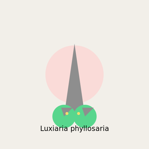 Luxiaria phyllosaria - The Enchanted Leaf - DrawGPT