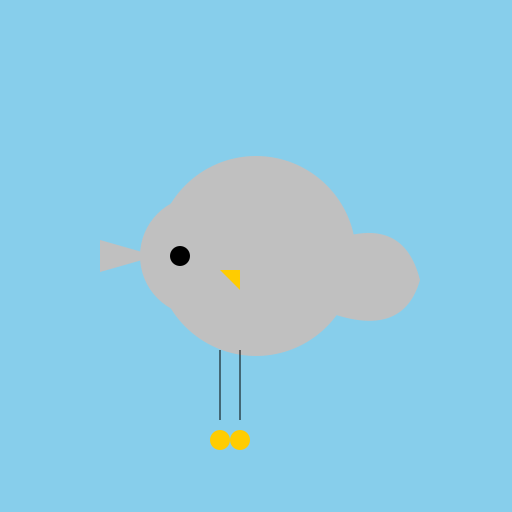 Beautiful Pigeon - DrawGPT