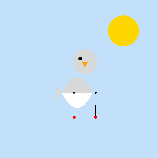 Majestic Pigeon in Naturalism - DrawGPT