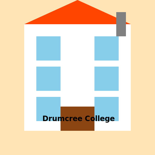 Drumcree College - DrawGPT