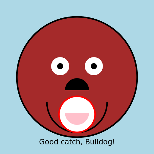 Bulldog Face Holding a Baseball - DrawGPT