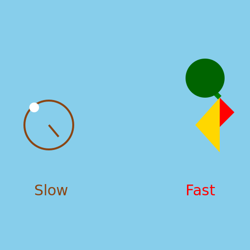 Slow versus Fast Transport - DrawGPT