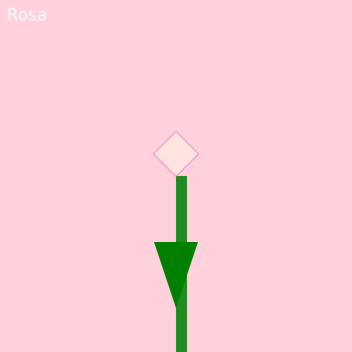 Rosa - A Beautiful Rose Blossoming - DrawGPT