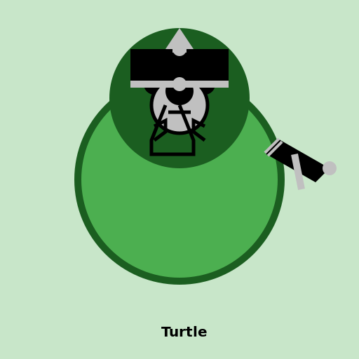 Turtle with a Monocle - DrawGPT