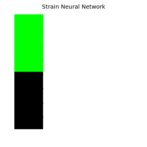 3D Strain Neural Network Model - DrawGPT