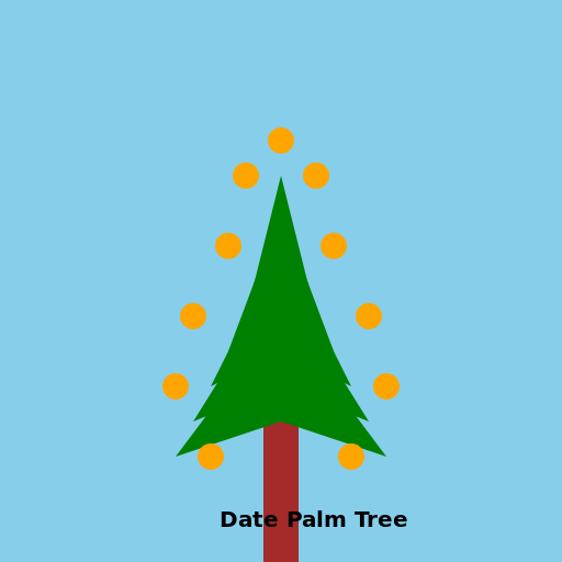 Drawing a Date Palm Tree - DrawGPT