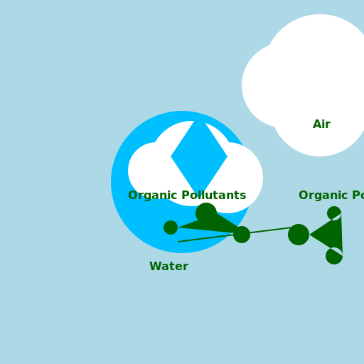 Organic Pollutant Transfer Diagram - DrawGPT