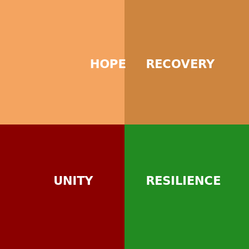 Resilient Response to Cholera Outbreak in a Rural Village in Northeast Nigeria - DrawGPT