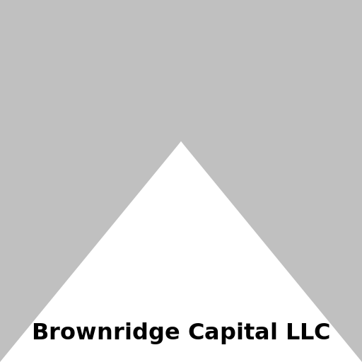 Brownridge Capital LLC - DrawGPT