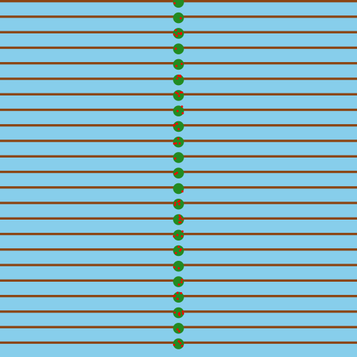 Pomegranate Orchard Layout - DrawGPT