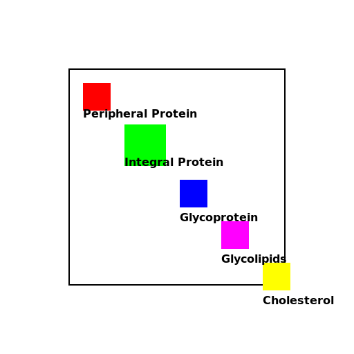 Drawing a Section of a Plasma Membrane - DrawGPT