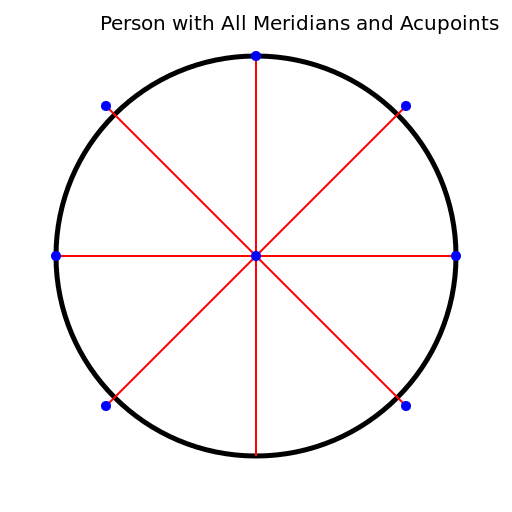 Person with All Meridians and Acupoints - DrawGPT