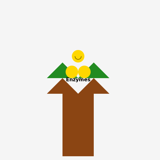 Lignin Degradation using Enzymes - DrawGPT
