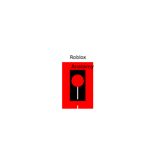 Roblox Anatomy: A Peek Inside - DrawGPT