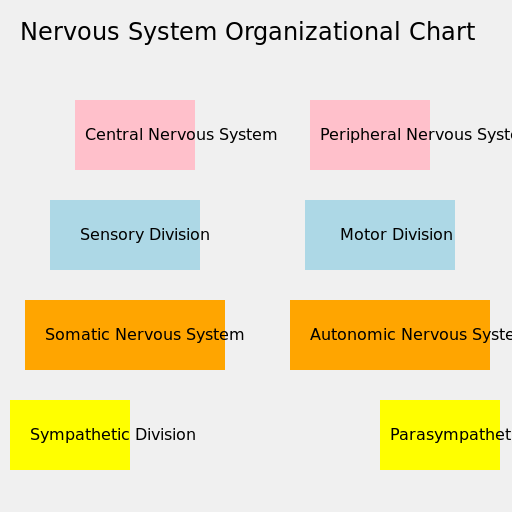 Organisational Chart of the Nervous System - DrawGPT