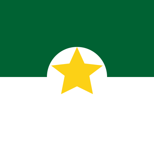 Pakistani Flag - DrawGPT