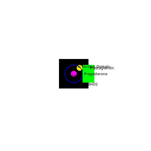 Mechanism of CatSper Activation - DrawGPT