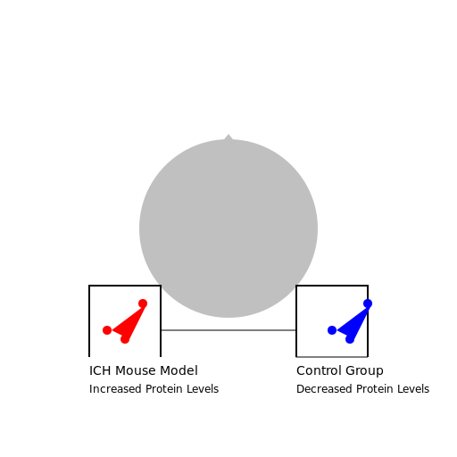 Changes in TDP-43 Protein Levels in ICH Mouse Model - DrawGPT
