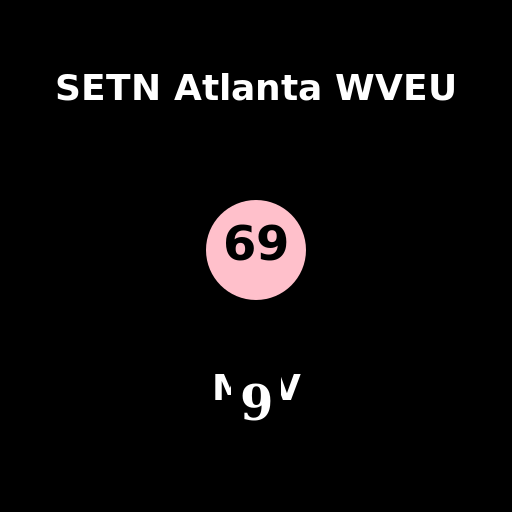 SETN Atlanta WVEU Channel 69 Logo - DrawGPT