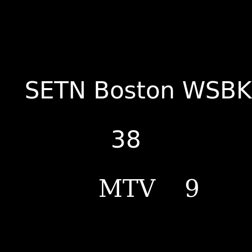 Logo of SETN Boston WSBK channel 38 with a Cockapoo in number 38 (Cooper font) - DrawGPT