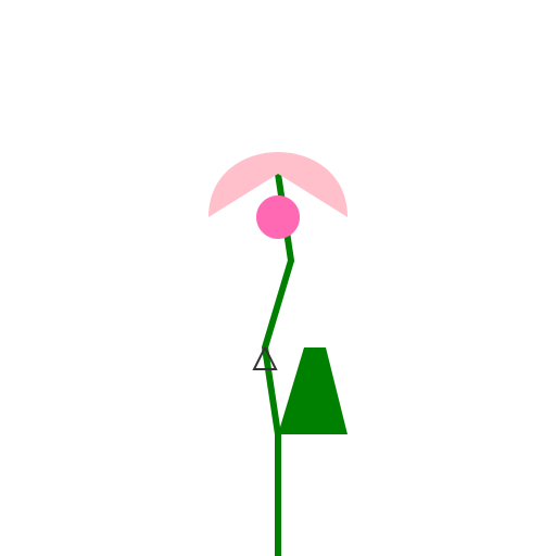Pink Rose - DrawGPT