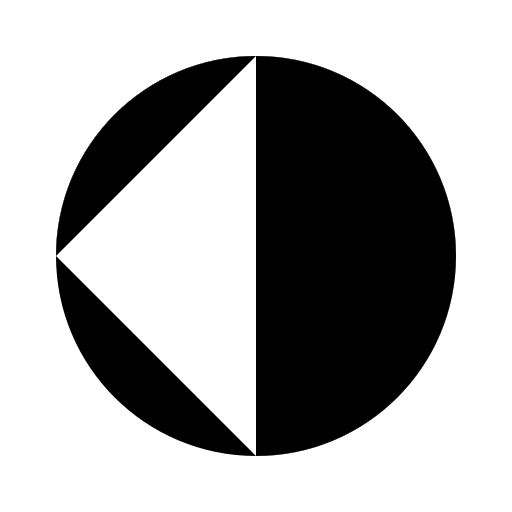 Shaded Circle with 8 Segments - DrawGPT