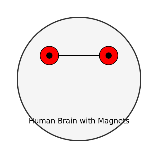 Human Brain with Magnets Stuck to It - DrawGPT