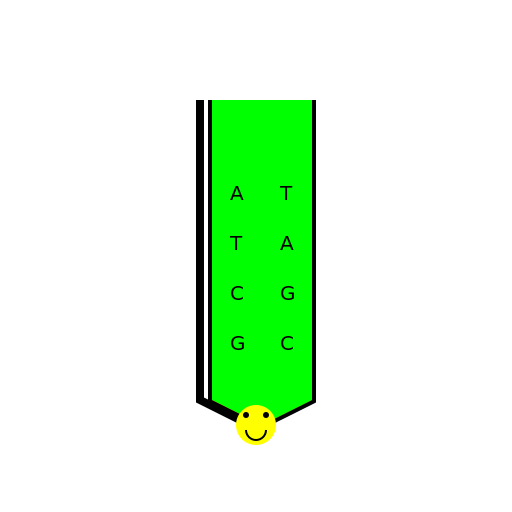DNA 🧬 - DrawGPT