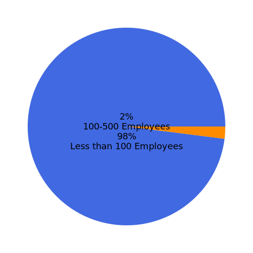 Company Size Distribution - DrawGPT