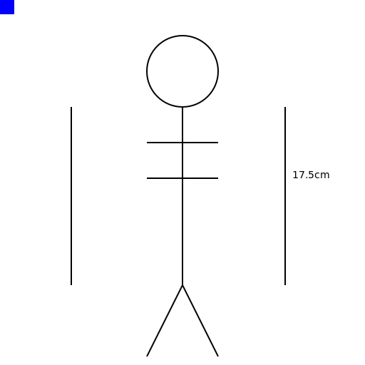 Height Measurement - DrawGPT