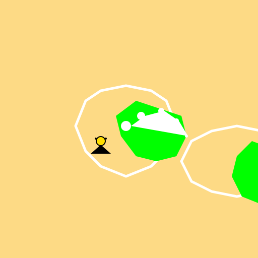 A Bunch of White and Green Flowers with Sunshine - DrawGPT