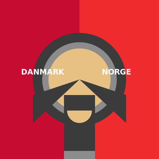 Viking in front of the Danish and Norwegian Flag - DrawGPT