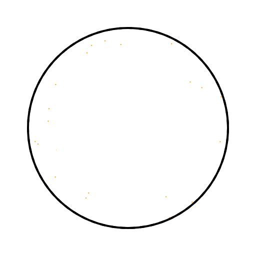 Basketball Photo - DrawGPT