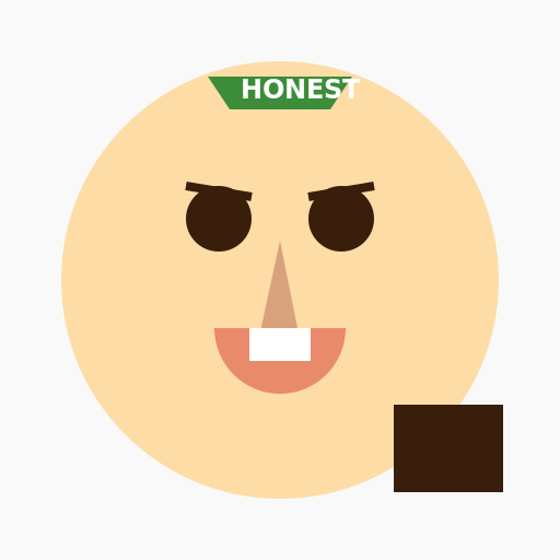 Honest Financial Advisor - DrawGPT