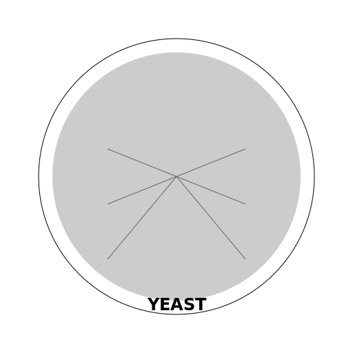 Microscopic Yeast in Full Details - DrawGPT